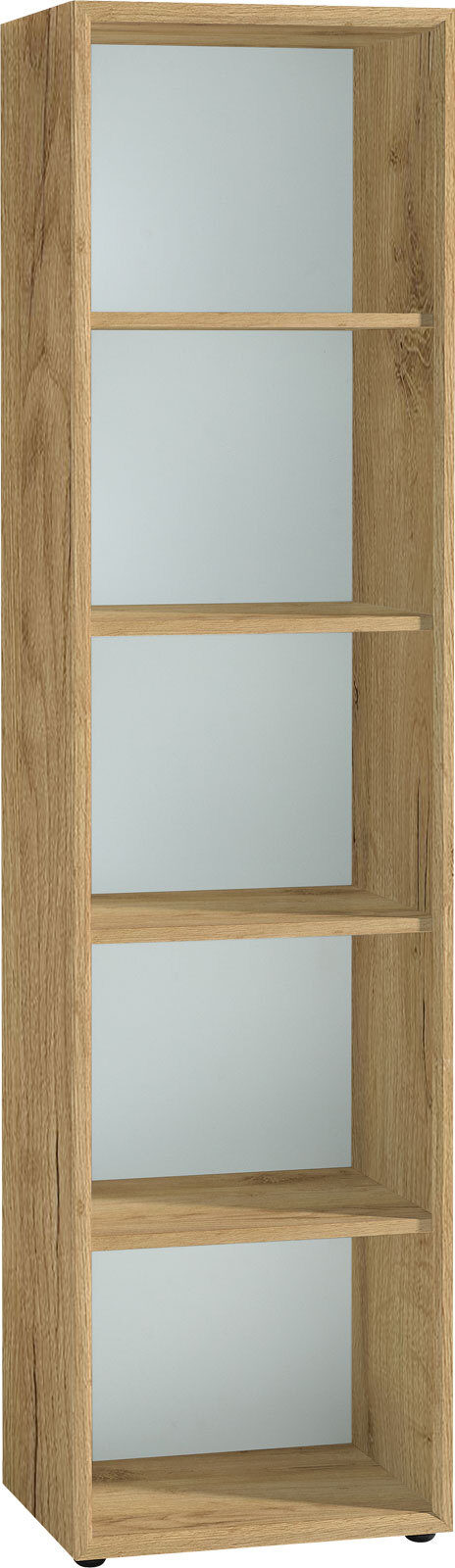 CASAVANTI Aktenregal CADRO 50 x 196 x 37 cm braun