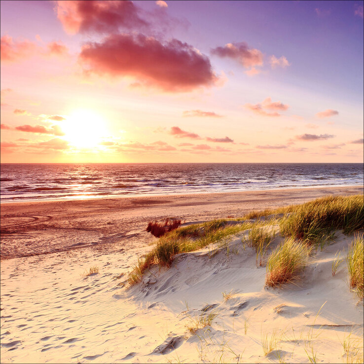 PRO ART Canvas-Art Bild SEA HARMONY 30 x 30 cm mehrfarbig