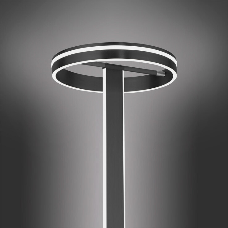 Paul Neuhaus Smart Home LED Stehlampe Q-VITO anthrazit