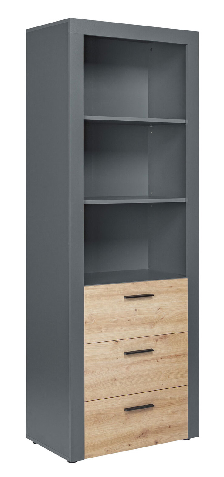 Regal ROLAND grau/ braun