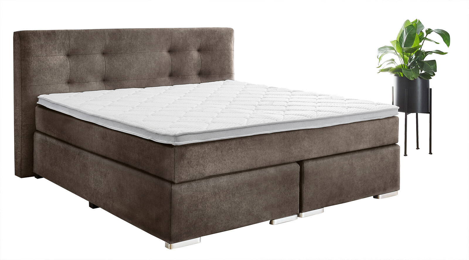 CASAVANTI Boxspringbett GLENDO 180 x 200 cm 