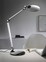 LED Schreibtischlampe EXPECT 90 cm silberfarbig/ schwarz