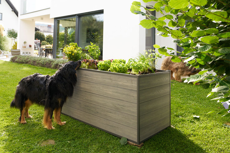 Garden FLAIR Hochbeet RUTH 240 x 80 cm anthrazit