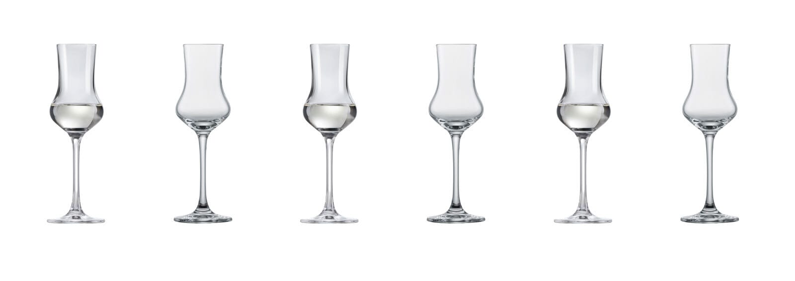 SCHOTT ZWIESEL Digestifglas CLASSICO 6er Set - je 95 ml