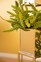 Fink Blumensäule AMANDA 5-teilig 135 cm