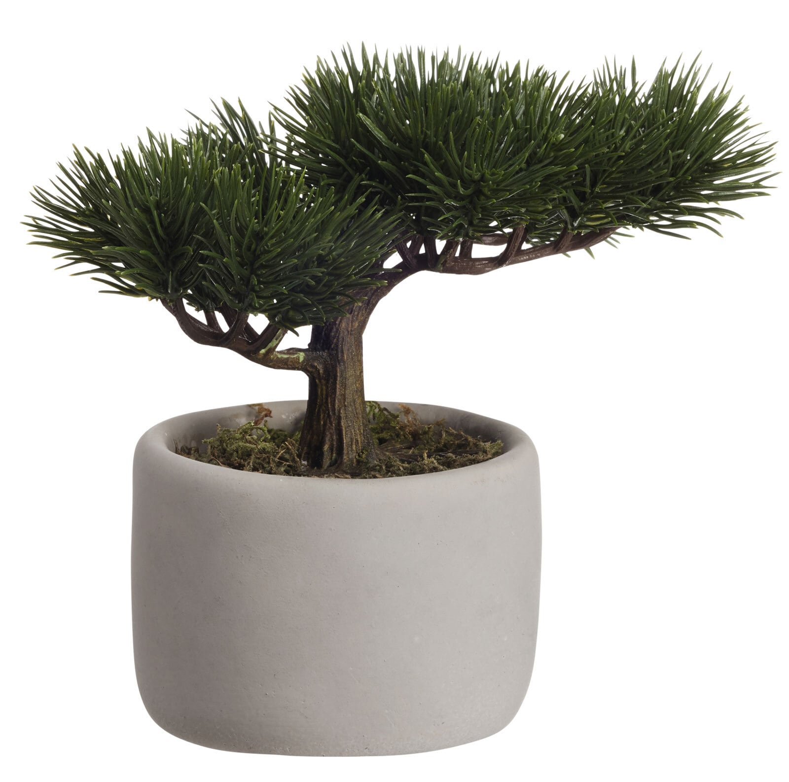 ASA Kunstpflanze BONSAI