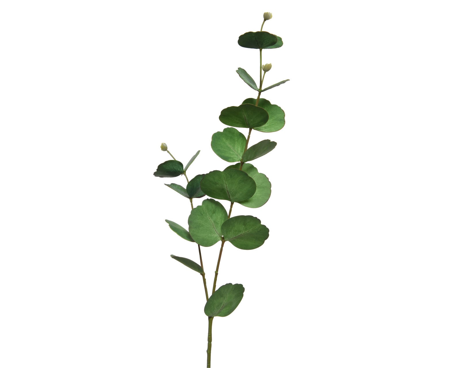 Kunstblume Zweig Eukalyptus 74 cm grün