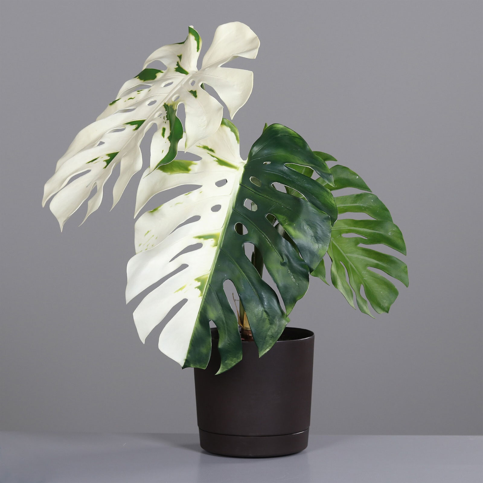 Kunstblume im Topf Monstera Albino 87 cm