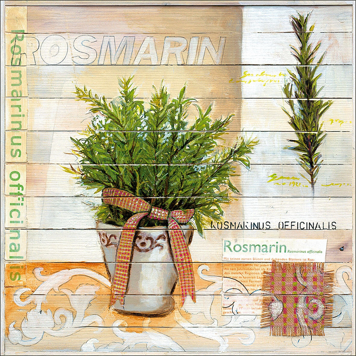 PRO ART Basic cellophaniert Bild SWEET HERBS I ROSMARIN 25 x 25 cm mehrfarbig