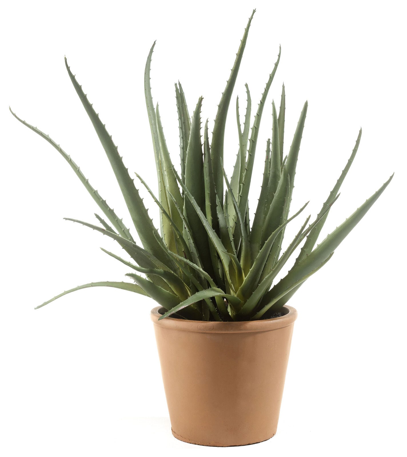 casaNOVA Kunstblume ALOE 48 cm