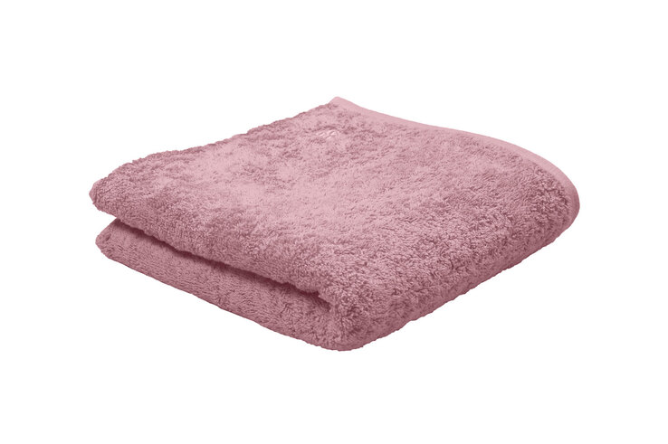 Rosa 02