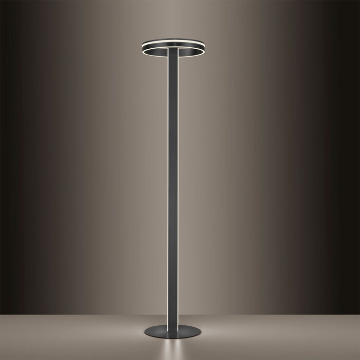 Paul Neuhaus Smart Home LED Stehlampe Q-VITO anthrazit