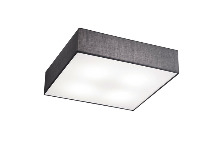 TRIO Retrofit Deckenlampe X-EMBASSY