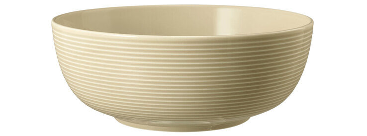 Seltmann Weiden Schale BEAT COLOR GLAZE 2er Set 20,4 cm sandbeige