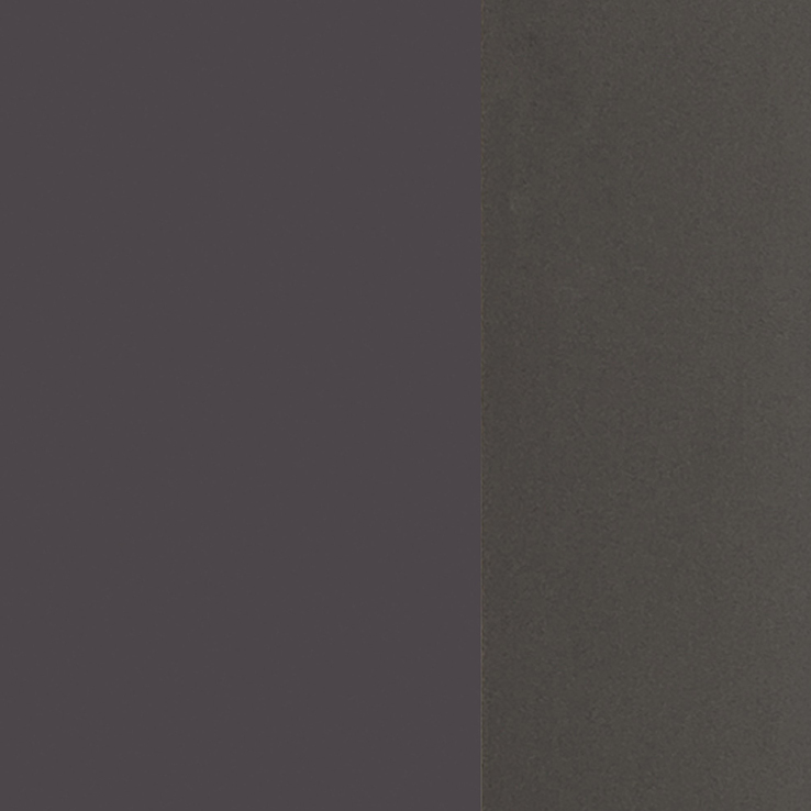 Bad-Spiegelschrank BRÜGGE grau 60cm