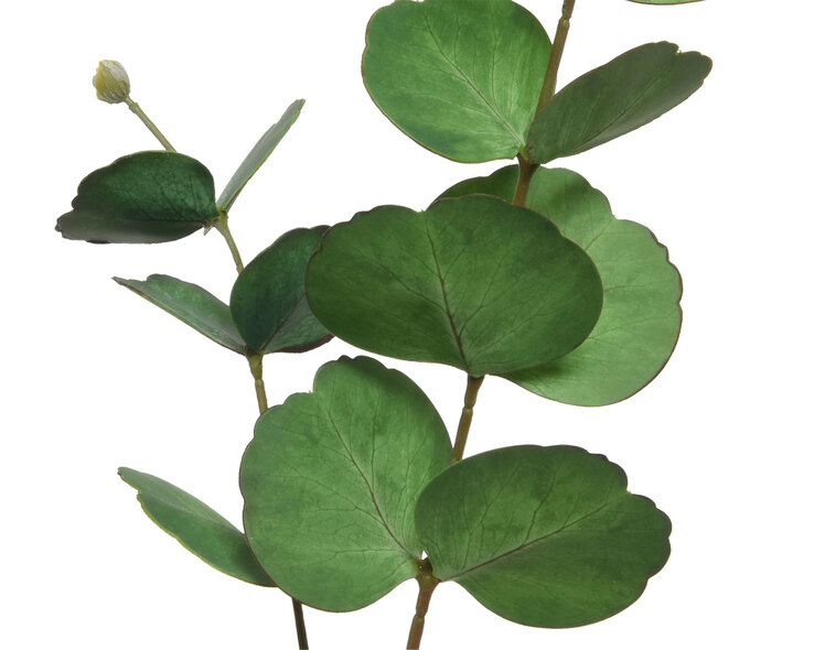 Kunstblume Zweig Eukalyptus 74 cm grün