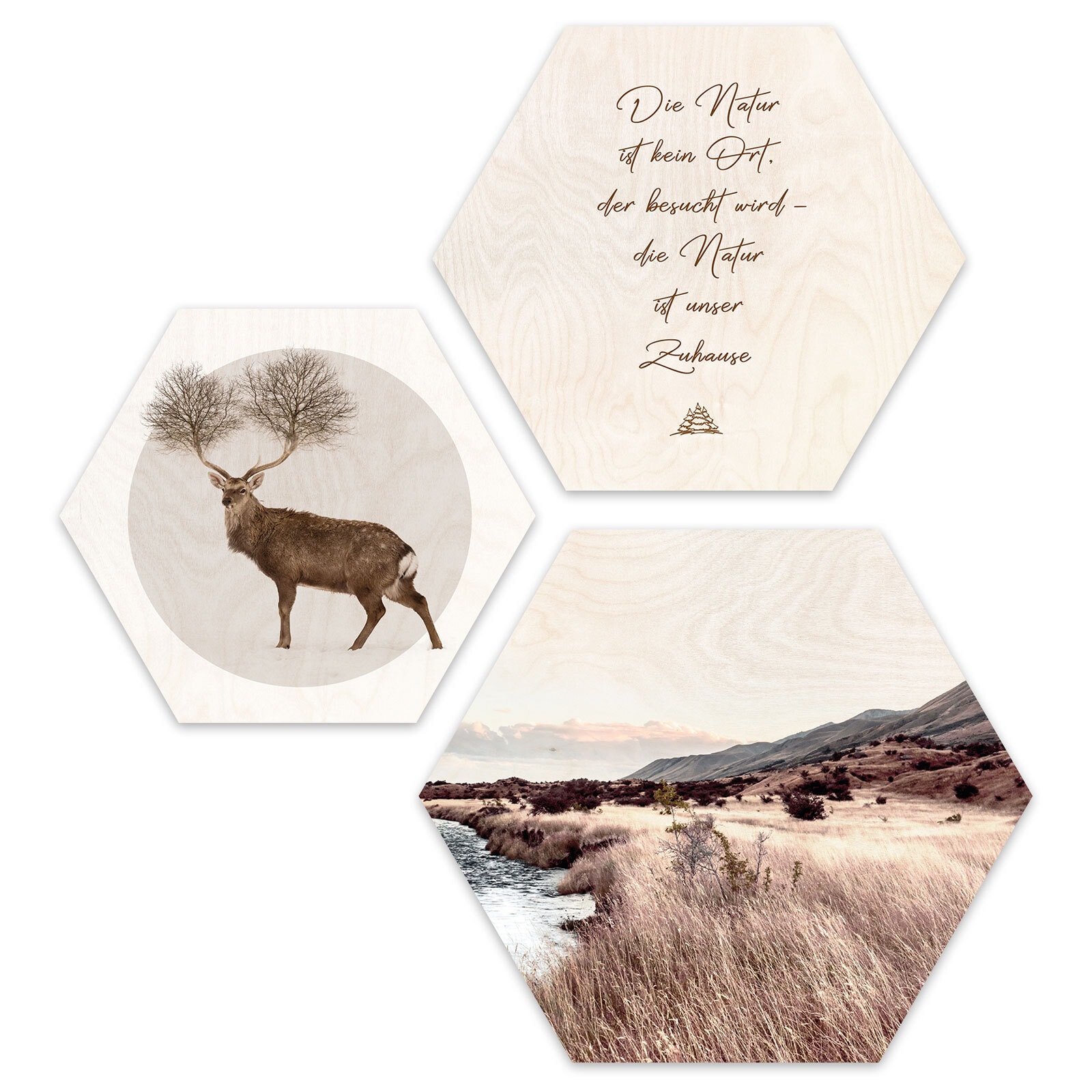 PRO ART Cut-Out Hexagone Bilder Set ZUHAUSE IN DER NATUR III 3-teilig