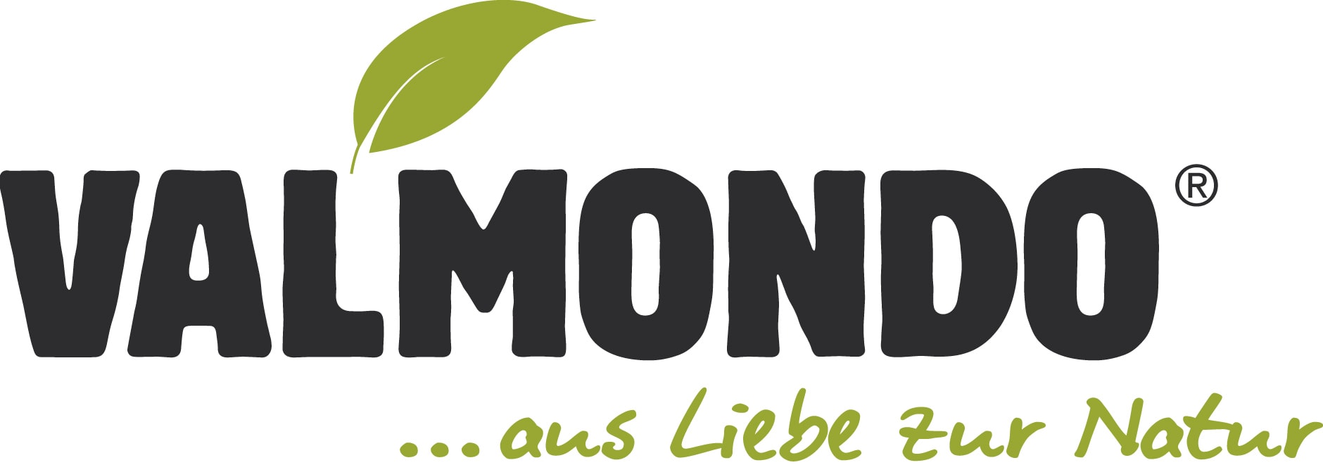 VALMONDO-logo