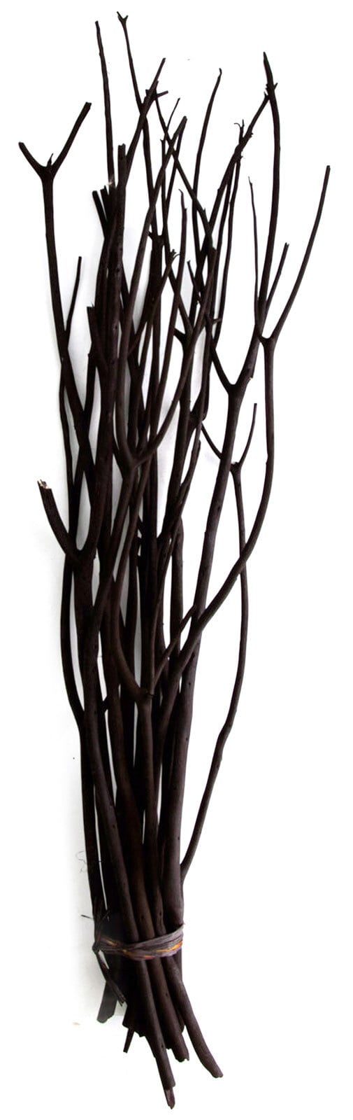 Trockenblumen Bündel MITSUMATA 12-teilig je 60 cm schwarz