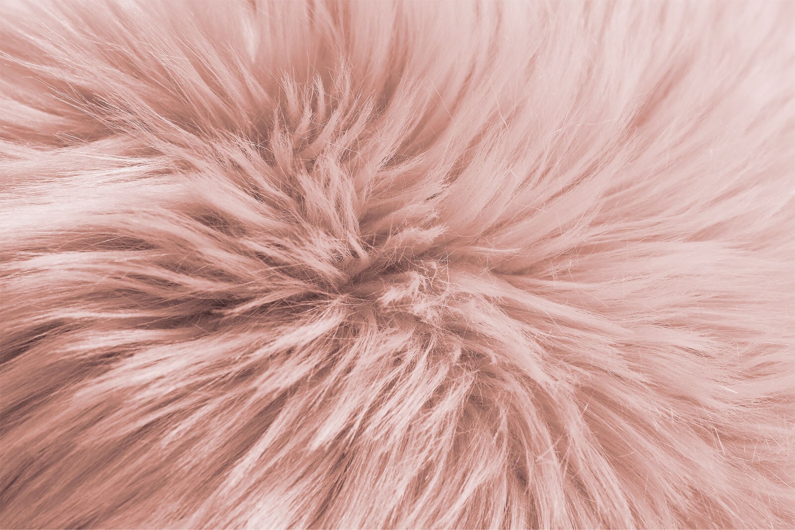 Kissenhülle OVIUM 40 x 40 cm rosa