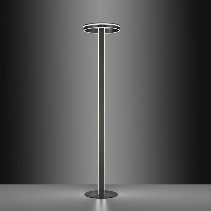 Paul Neuhaus Smart Home LED Stehlampe Q-VITO anthrazit