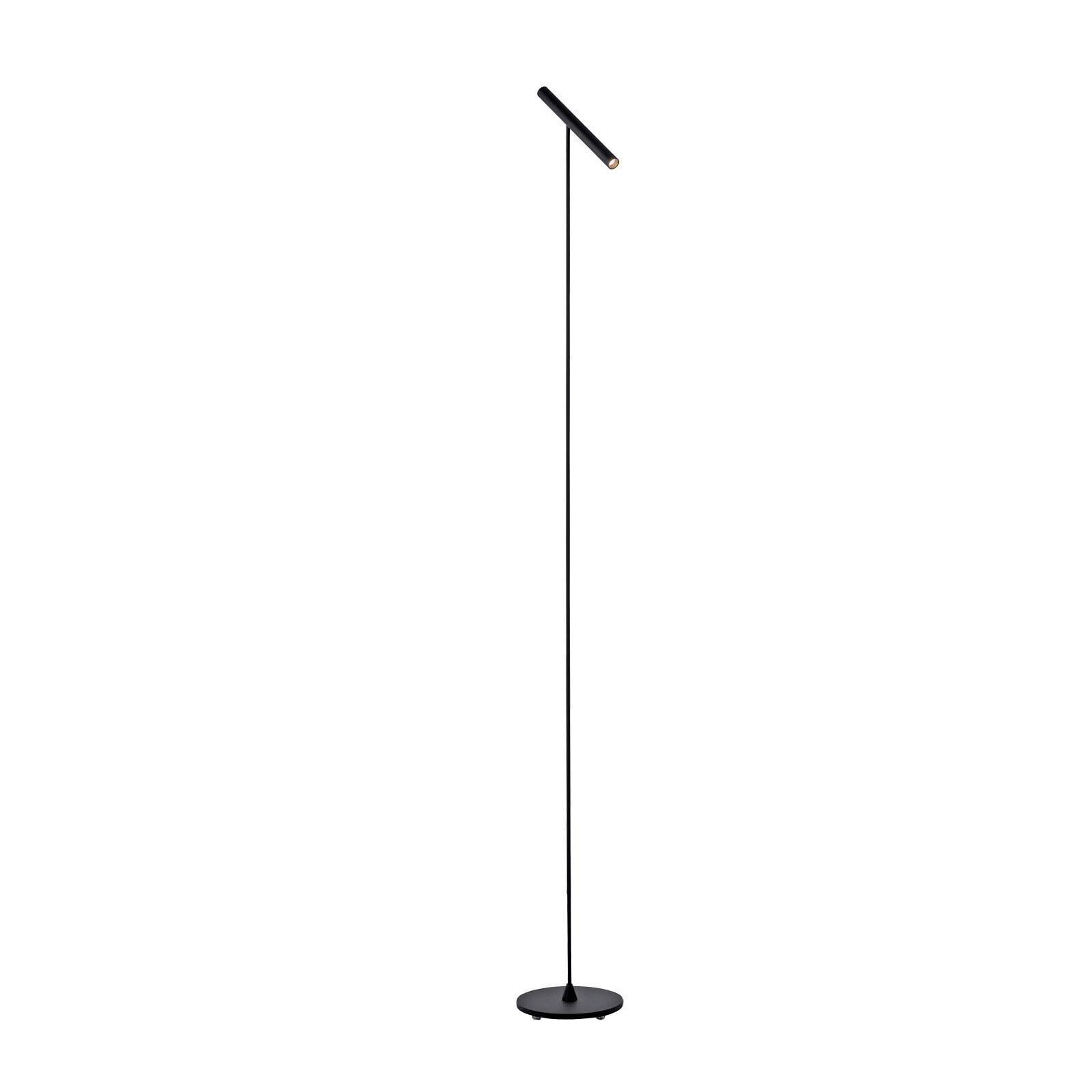 Paul Neuhaus LED Stehlampe PURE-TUTUA schwarz