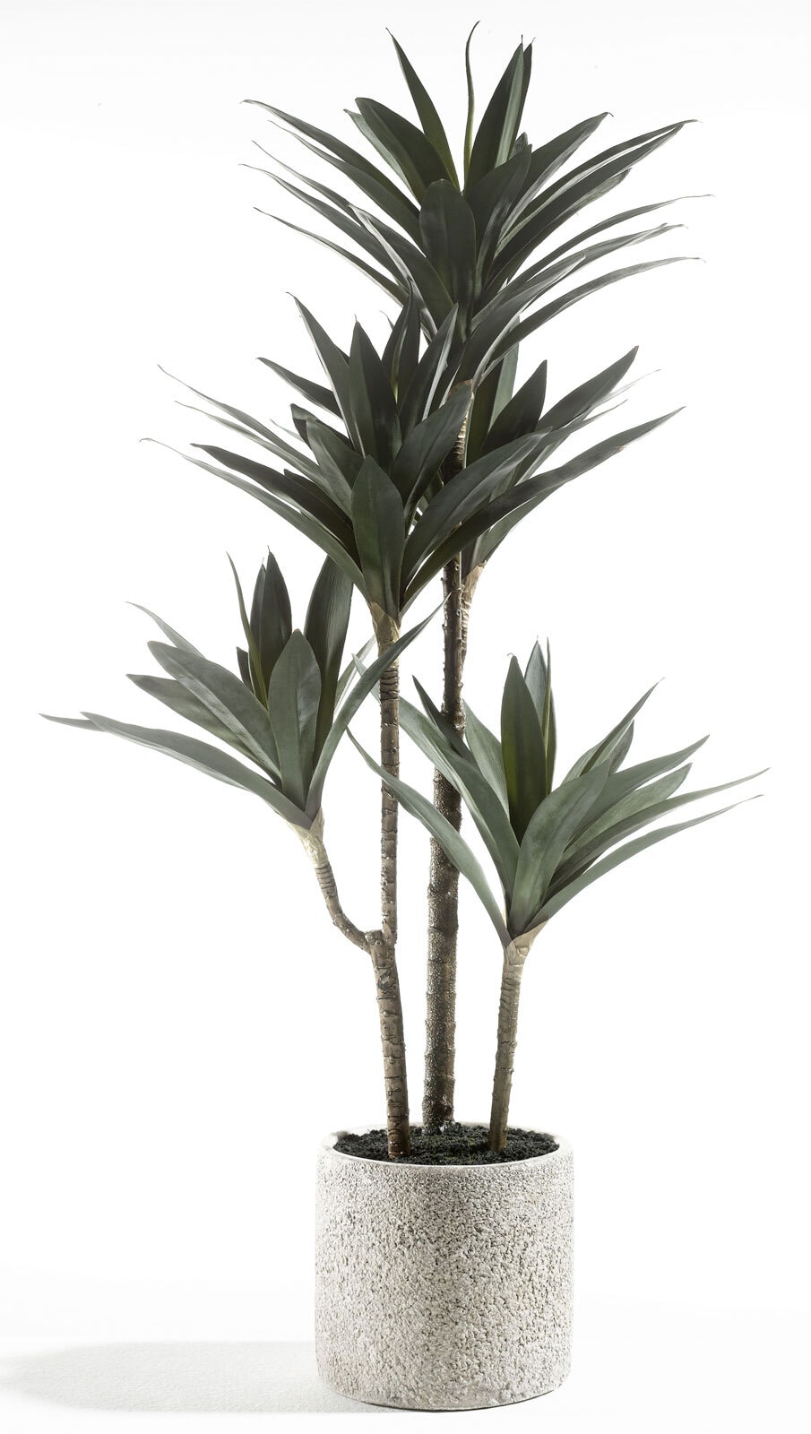 casaNOVA Kunstblume PALME 78,5 cm