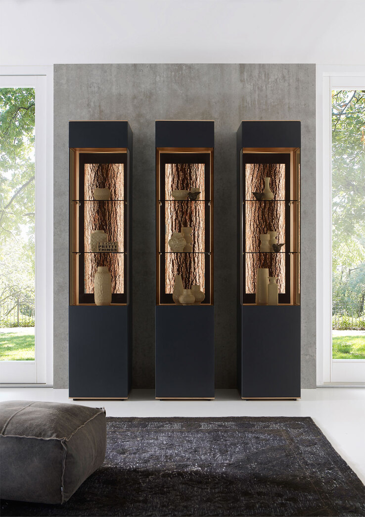 hartmann Vitrine I RUNA L Kerneiche natur /anthrazit