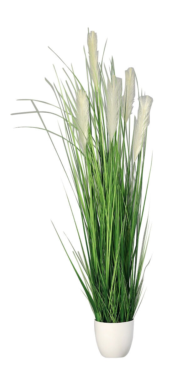 Kunstpflanze Gras PAMPAS im Topf 150 cm