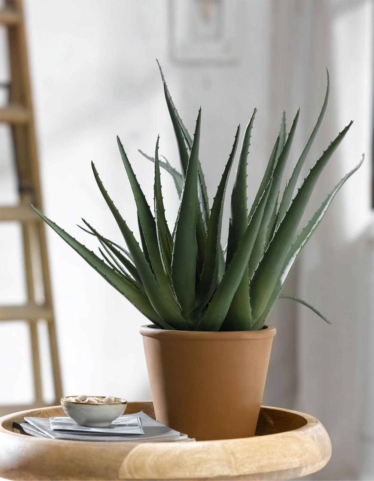 casaNOVA Kunstblume ALOE 48 cm