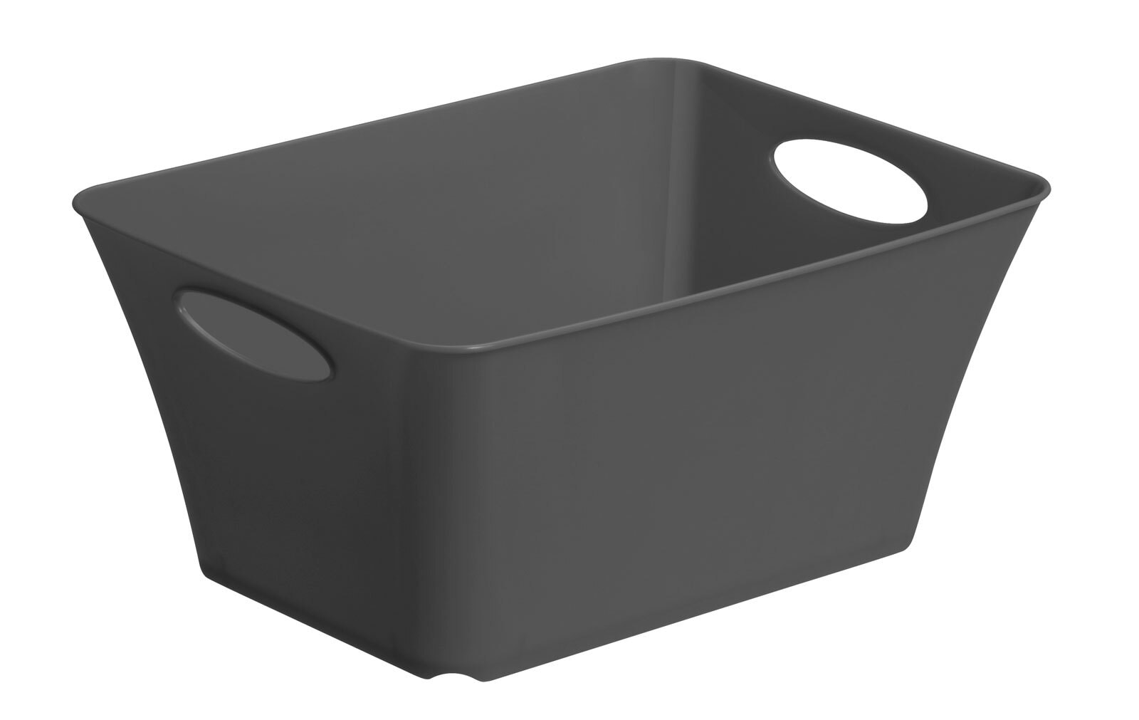 rotho Box LIVING 21,6 x 39,5 grau