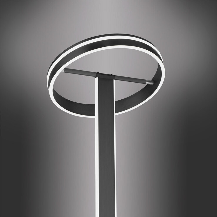 Paul Neuhaus Smart Home LED Stehlampe Q-VITO anthrazit