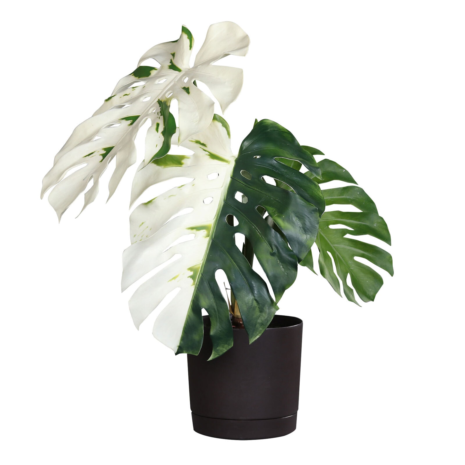 Kunstblume im Topf Monstera Albino 87 cm