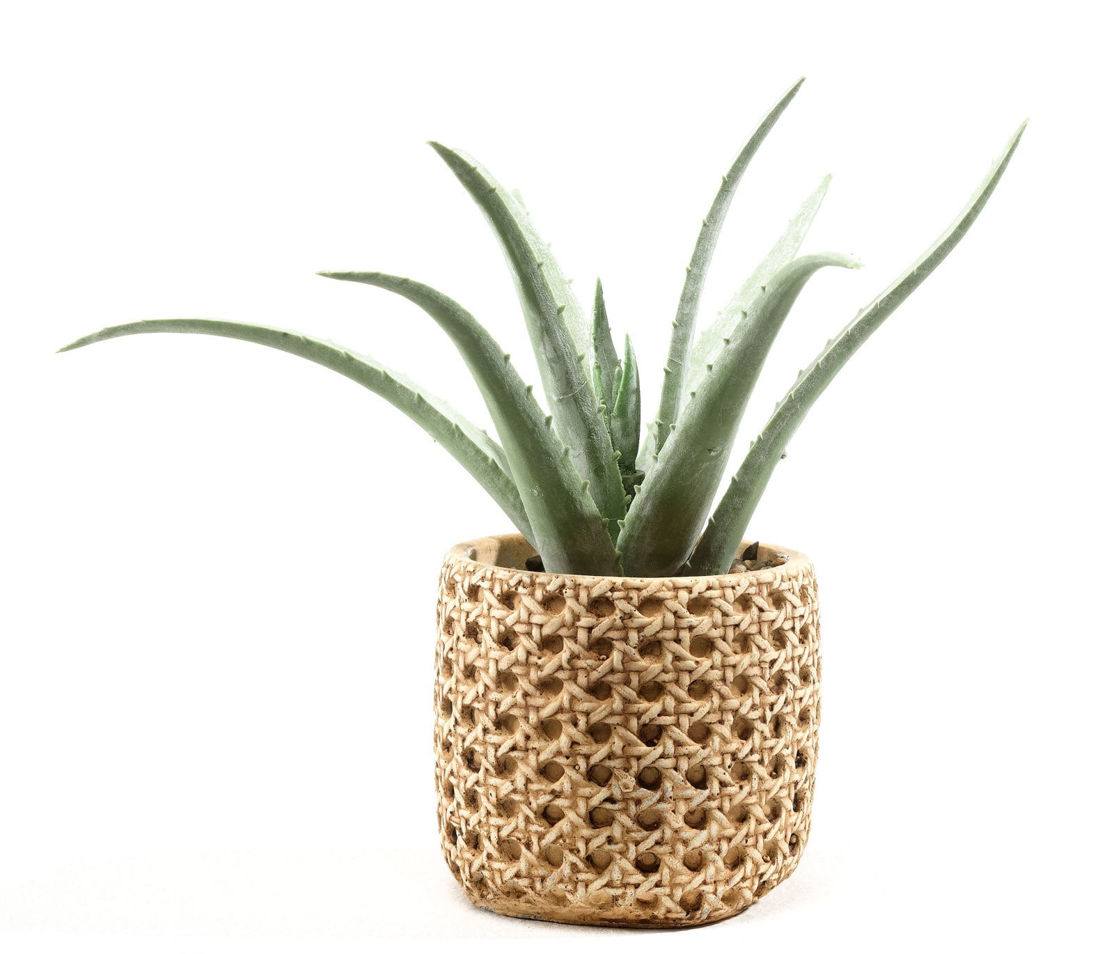 casaNOVA Kunstblume Aloe 27 cm