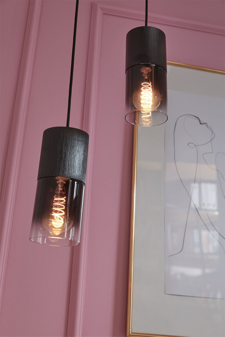 TRIO Retrofit Pendelleuchte ROBIN 1-flg