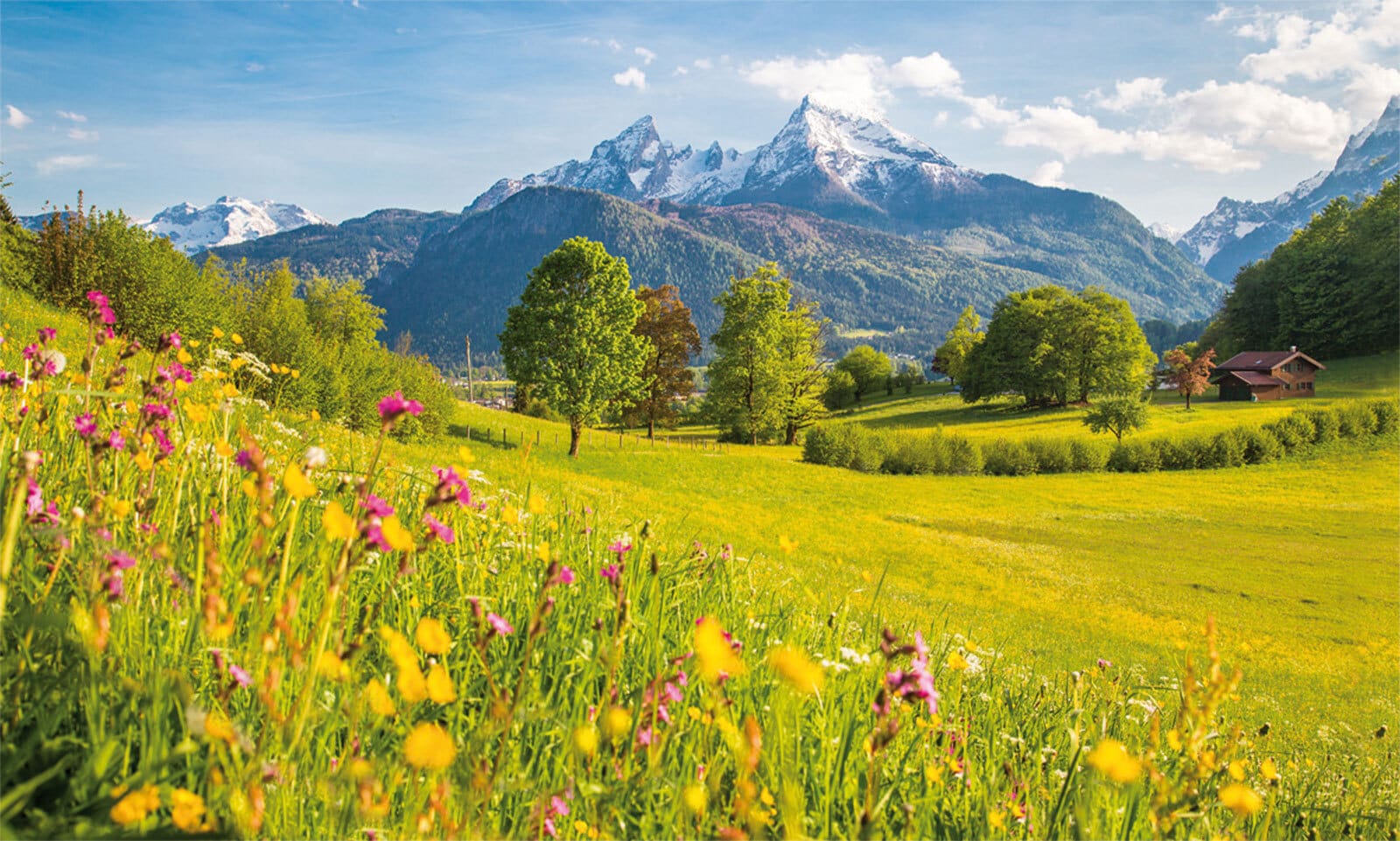 BÖNNINGHOFF Bild WIESEN UND BERGE 150 x 90 cm