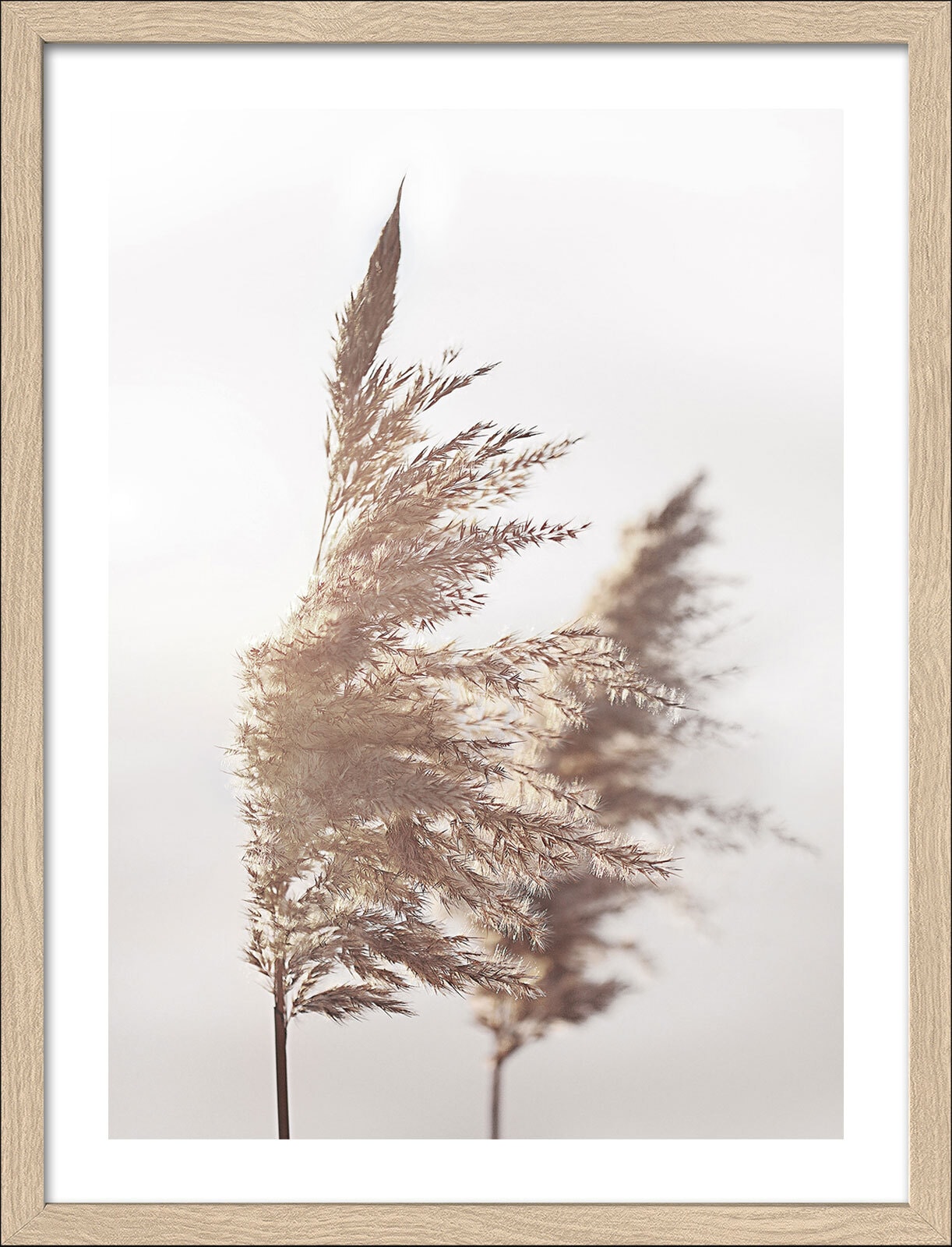 PRO ART Framed-Art Bild IN THE BREEZE III 33 x 43 cm