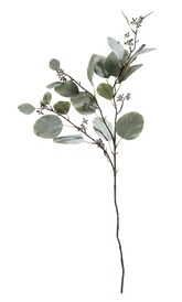 casaNOVA Kunstblume Zweig Eukalyptus 77 cm grün