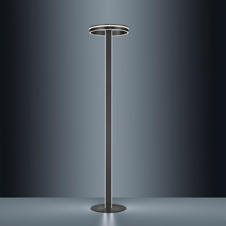 Paul Neuhaus Smart Home LED Stehlampe Q-VITO anthrazit