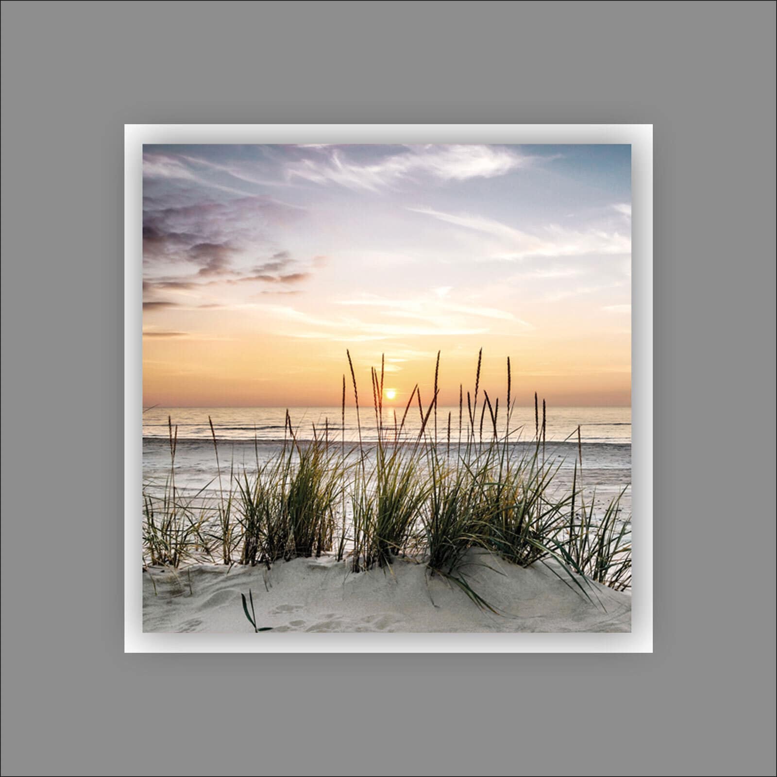 PRO ART Alu-Art Bild BEACH IV 50 x 50 cm Aluminium mehrfarbig