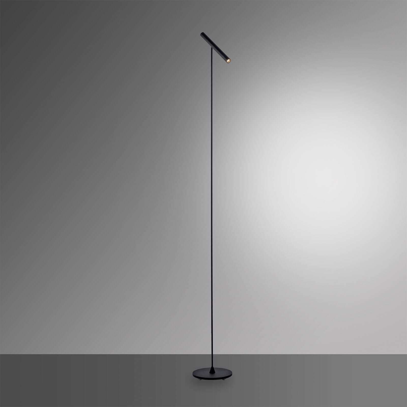 Paul Neuhaus LED Stehlampe PURE-TUTUA schwarz