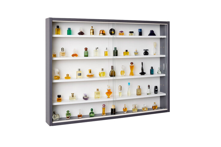 Sammlervitrine HENDRIK 80x60x9,5 cm Grau/Weiß