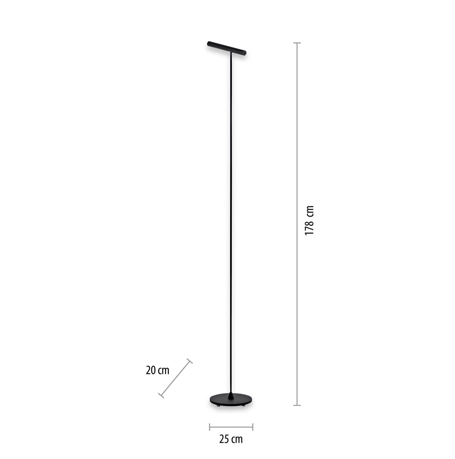 Paul Neuhaus LED Stehlampe PURE-TUTUA schwarz