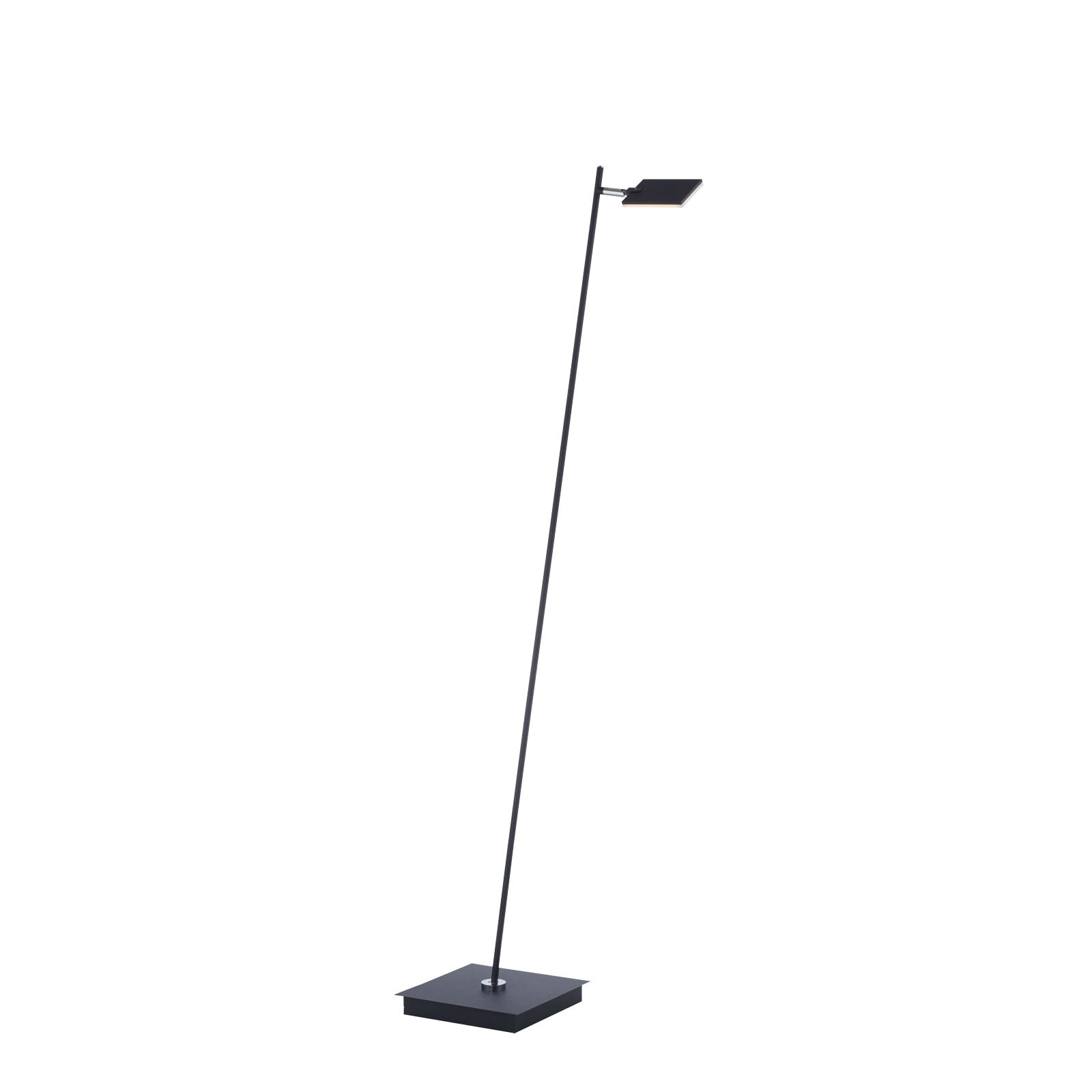 Paul Neuhaus LED Stehlampe PURE-MIRA schwarz