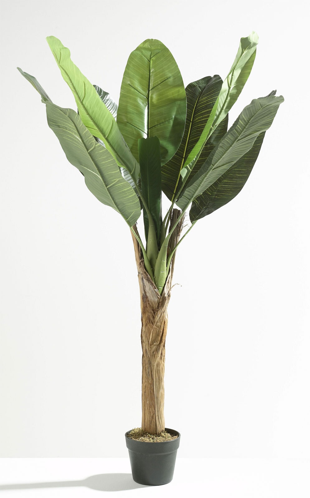 casaNOVA Kunstblume Bananenbaum 120 cm