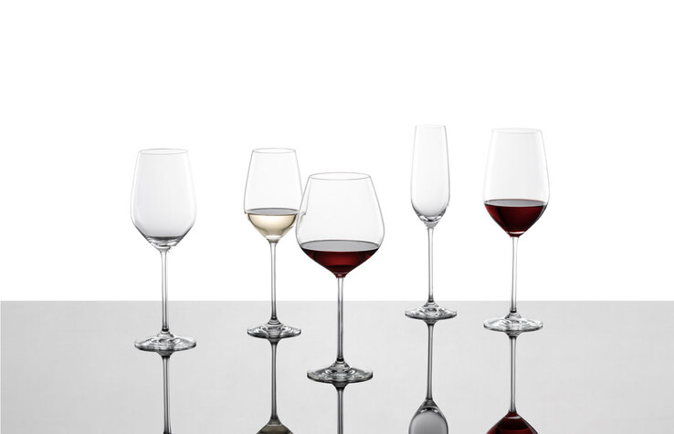 SCHOTT ZWIESEL Burgunderglas FORTISSIMO 740 ml