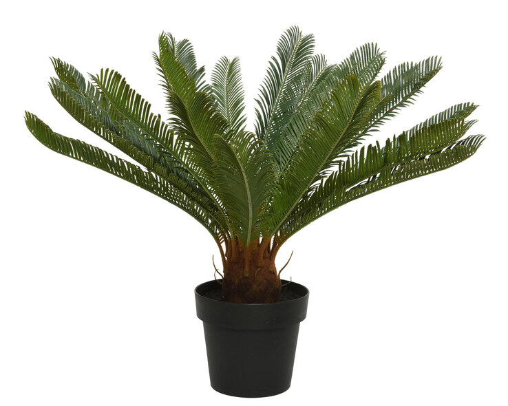 Kunstblume CYCAS 60 cm