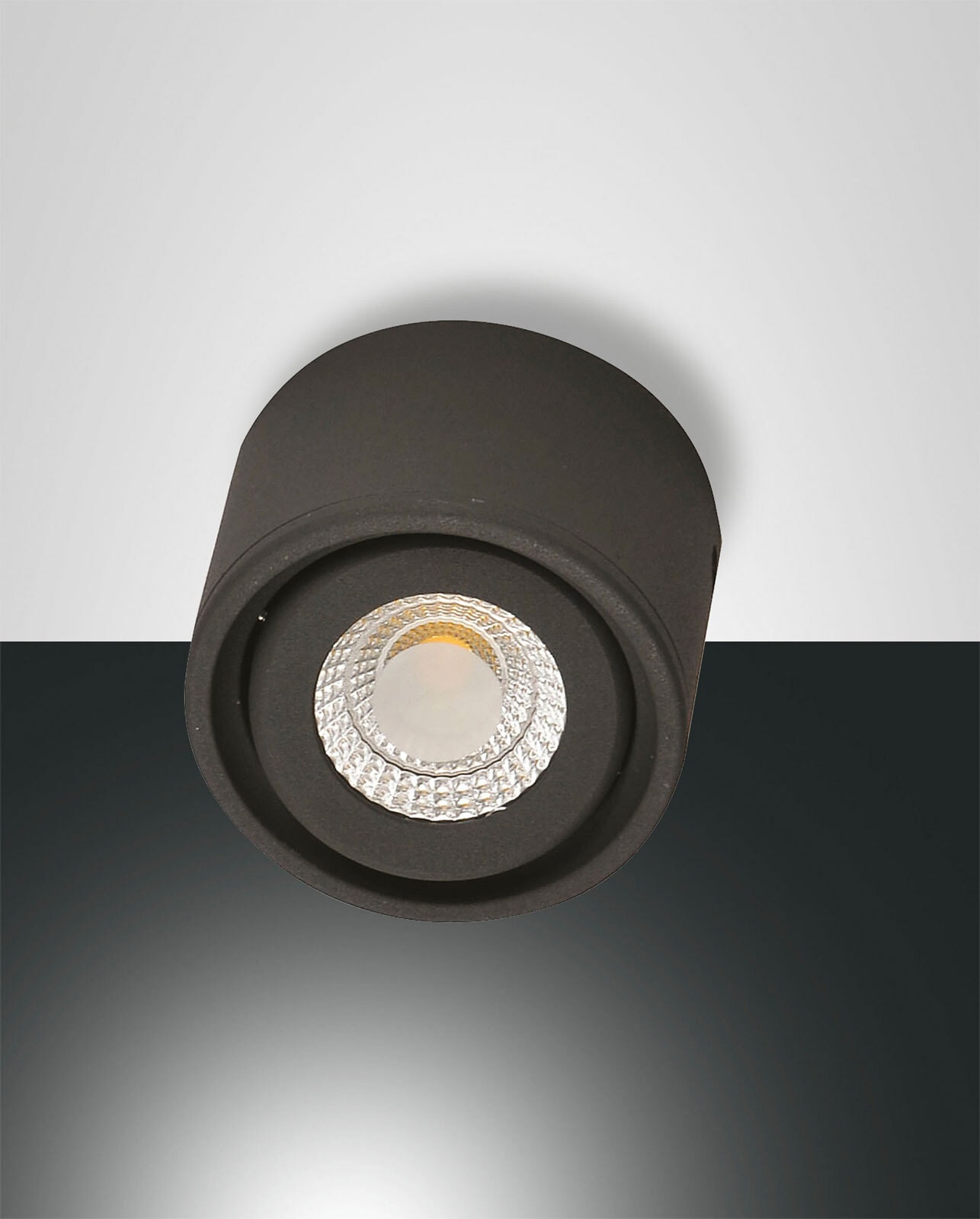 FABAS LUCE LED Deckenspot ANZIO anthrazit