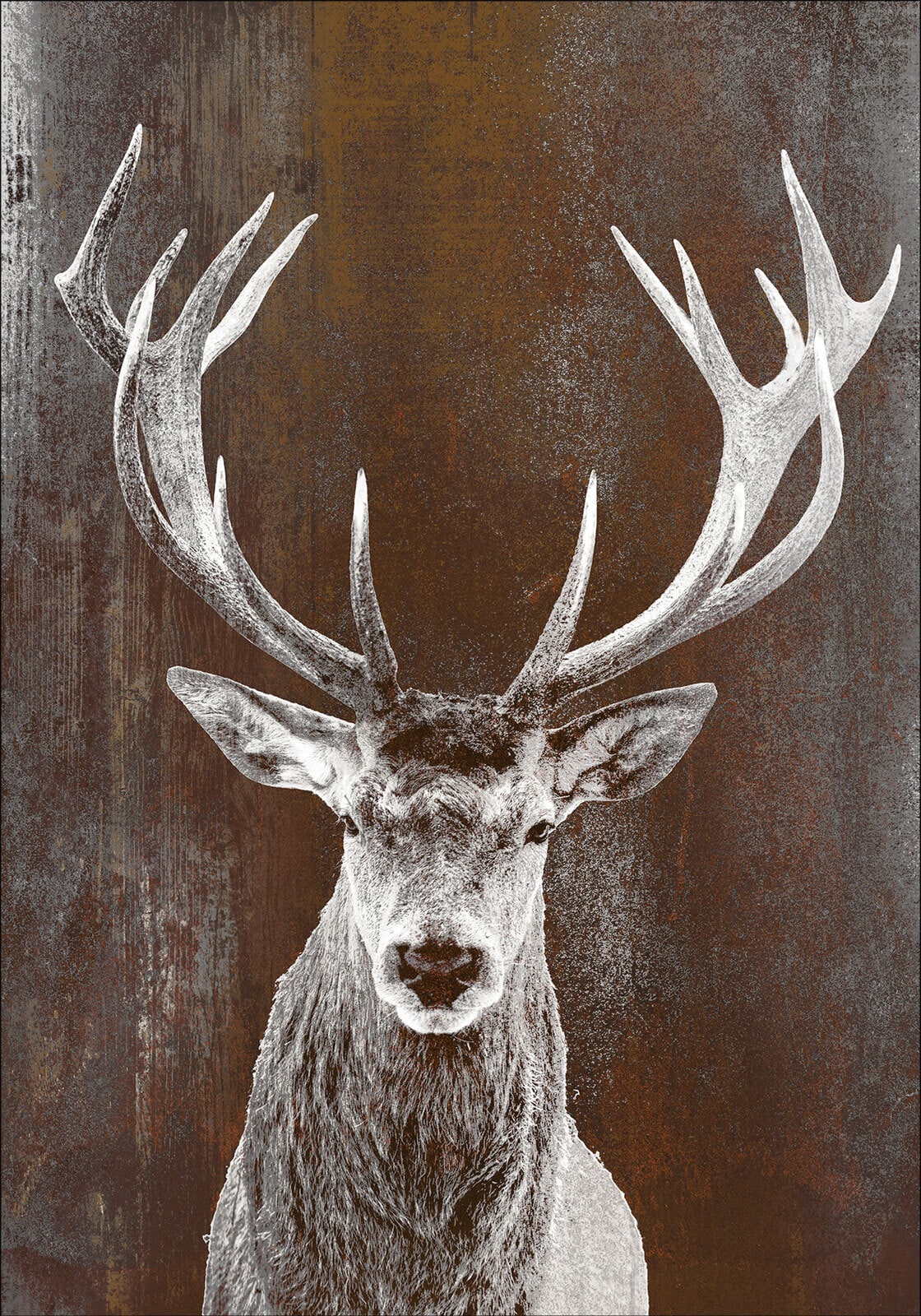 PRO ART Alu-Art Bild BROWN DEER II 70 x 98 cm mehrfarbig