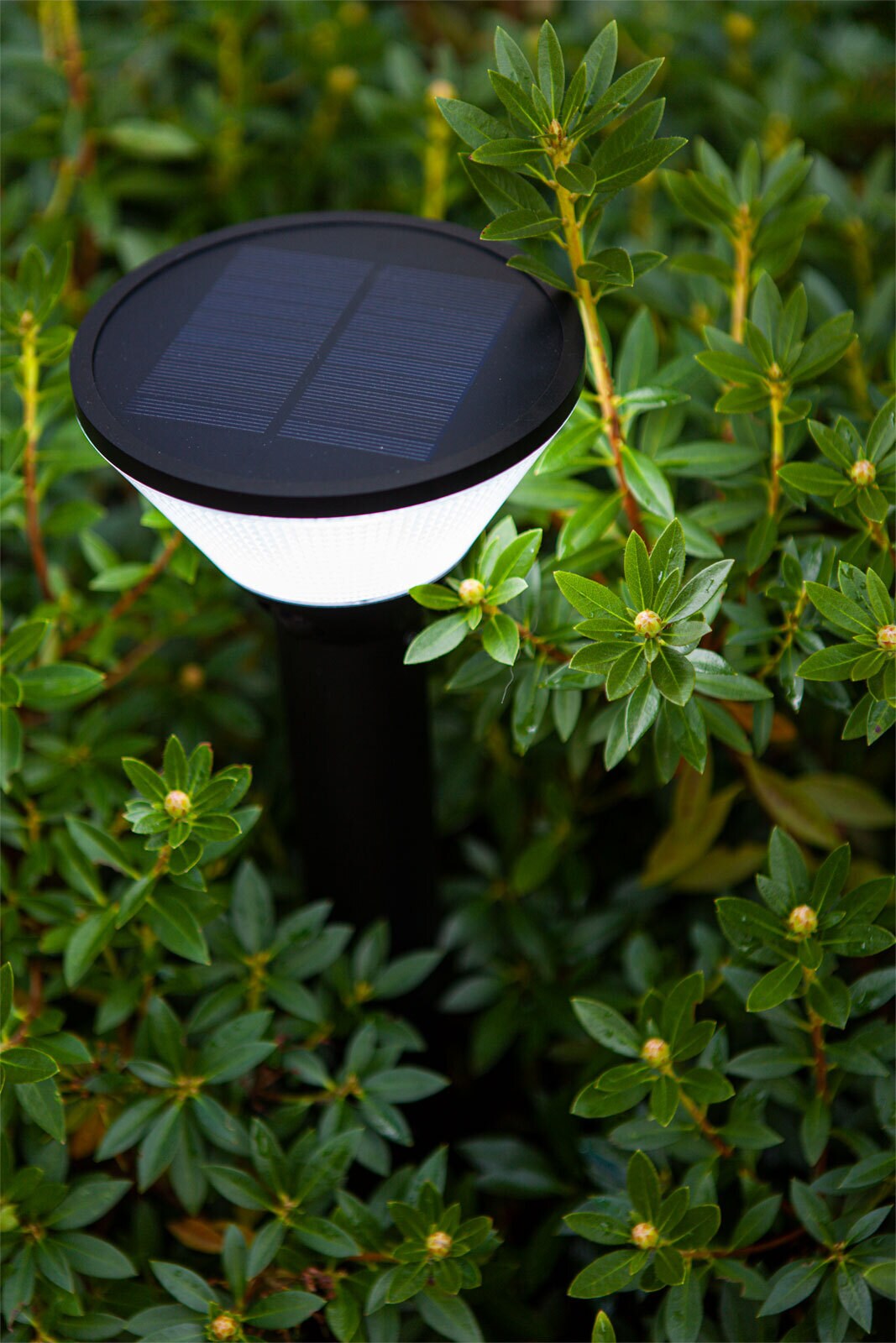 ECO-LIGHT LED Solar Wegeleuchte KARLO 45 cm schwarz